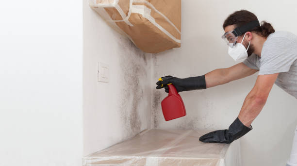 Professional Attic Mold Remediation technician working in Lititz, PA