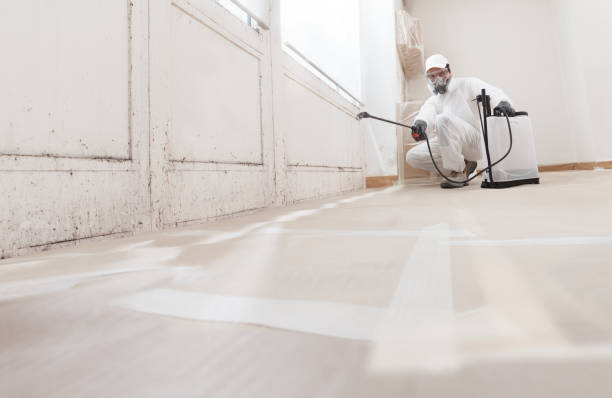24/7 Emergency Attic Mold Remediation experts in Lititz, PA